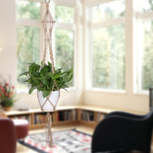 Plant Hanger