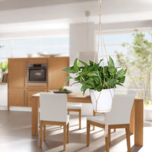 Plant Hanger