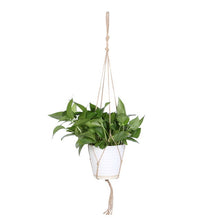 Plant Hanger