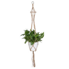 Plant Hanger